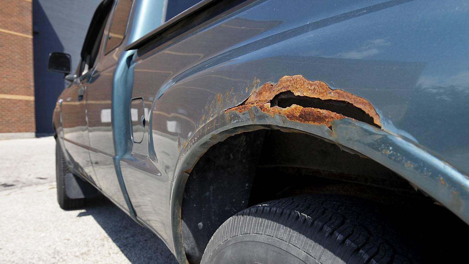 bo-tui-meo-hay-loai-bo-ri-set-o-to-1