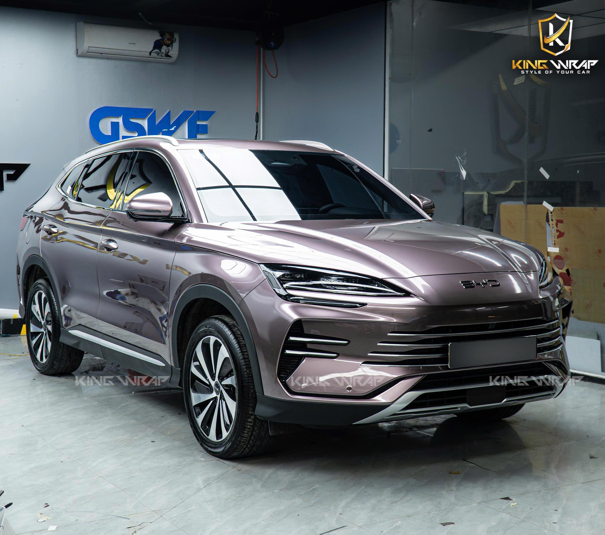 dan-doi-mau-byd-sealion-01